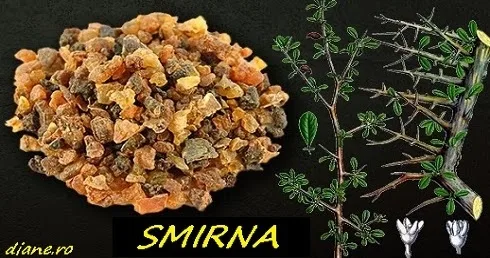 Remedii naturale antinflamatoare, încă nefolosite îndeajuns de oameni, decât în scopuri religioase