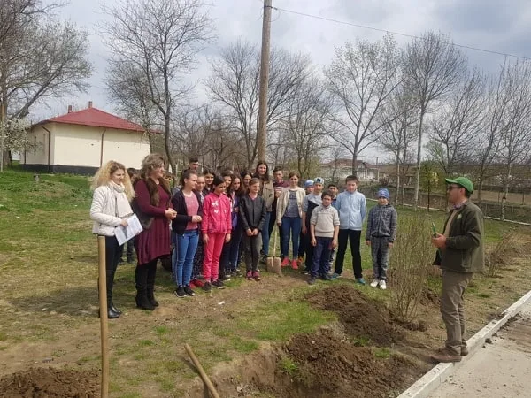 Direcția Silvică Galați: Luna plantării arborilor, între 15 martie și 15 aprilie