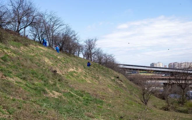 Au început plantările de primăvara: 1500 de puieți vor prinde rădăcini