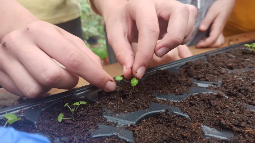 Programul educațional HORTUS