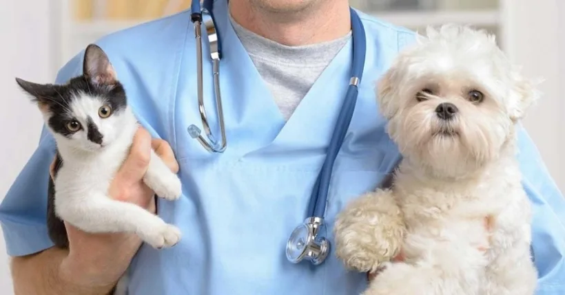 15 mai - Ziua naţională a medicului veterinar