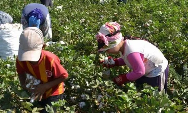 12 iunie - Ziua mondială împotriva exploatării prin muncă a copiilor