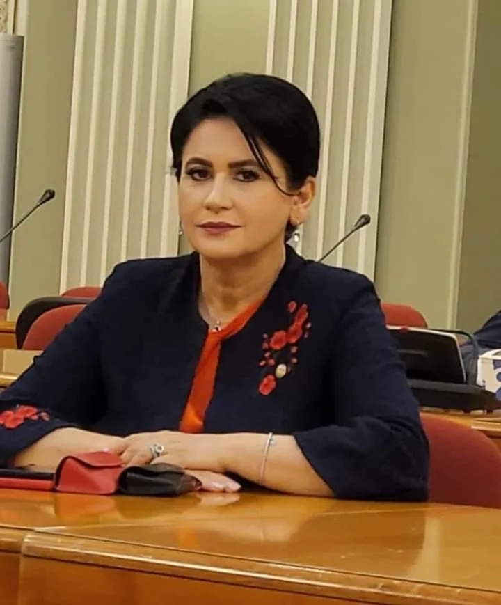 Deputatul Viorica Sandu: România are nevoie de investiții în infrastructura de transport!