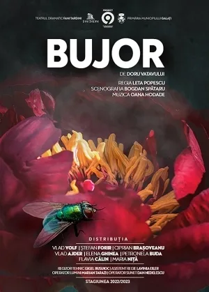 Un Bujor pe scena Teatrului Dramatic "Fani Tardini" din Galaţi