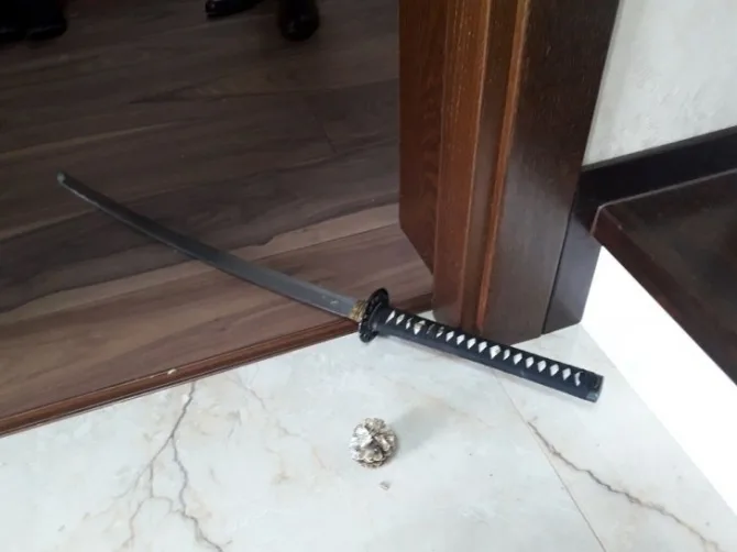 Atacator cu sabie. Un gălățean a omorât o pisică și a rănit un câine