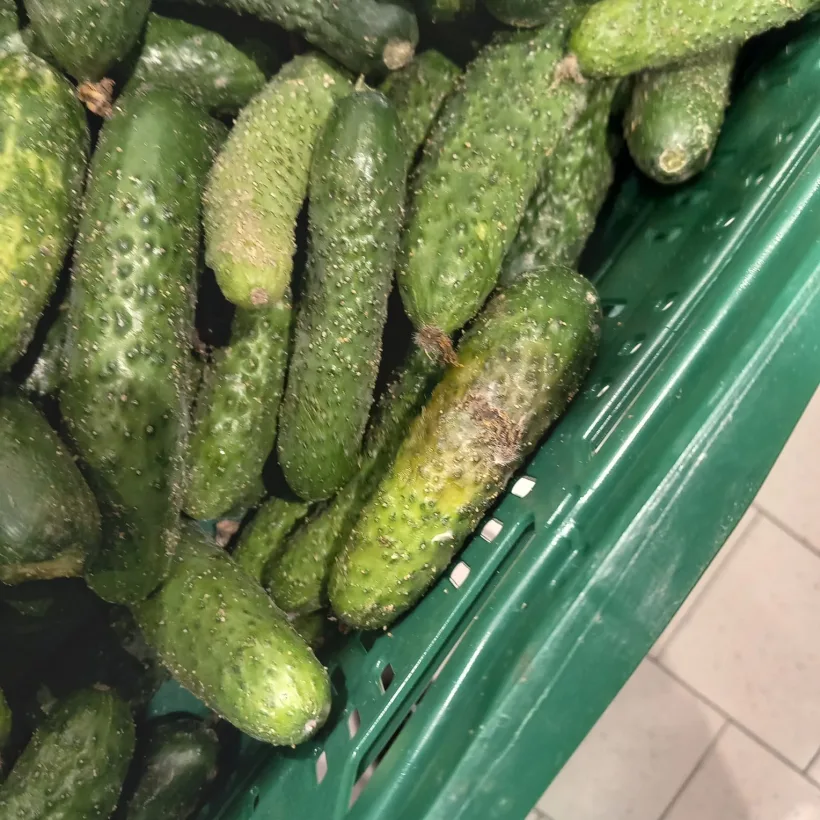 Amenzi date de Protecția Consumatorilor la magazinele Auchan și Penny din județul Galați