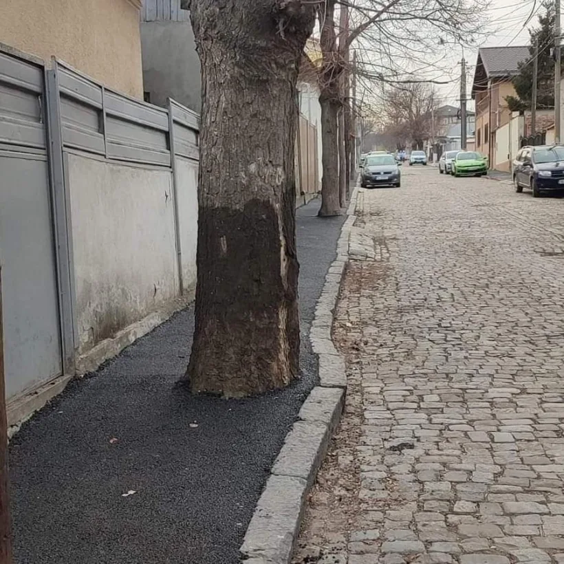 Trotuar asfaltat cu tot cu copaci, la Galați