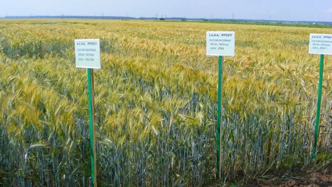 Societatea civilă ”împinge” administrația să iasă din amorțire pentru a sprijini fermierii locali