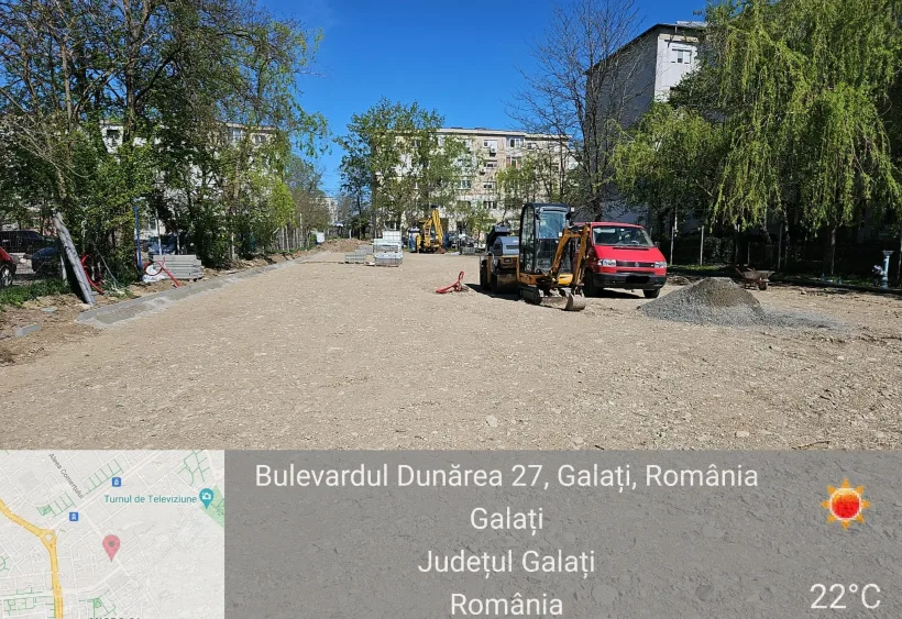 Ce amendă a primit o firmă din Galați care a tăiat ilegal un copac