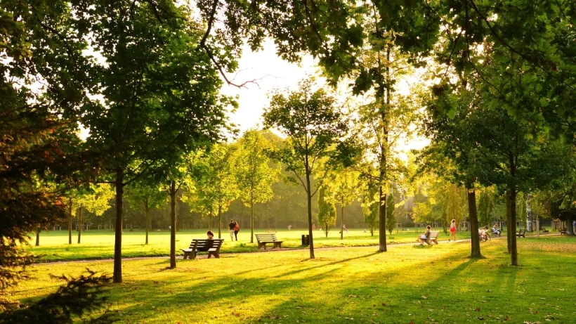 Amenda uriașă primită de o firmă care modernizează un parc din Galați