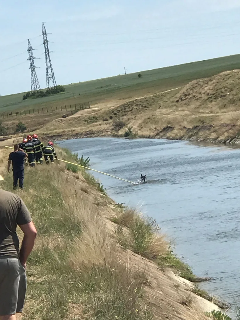 Operațiune de salvare a unei iepe căzută într-un canal de irigații