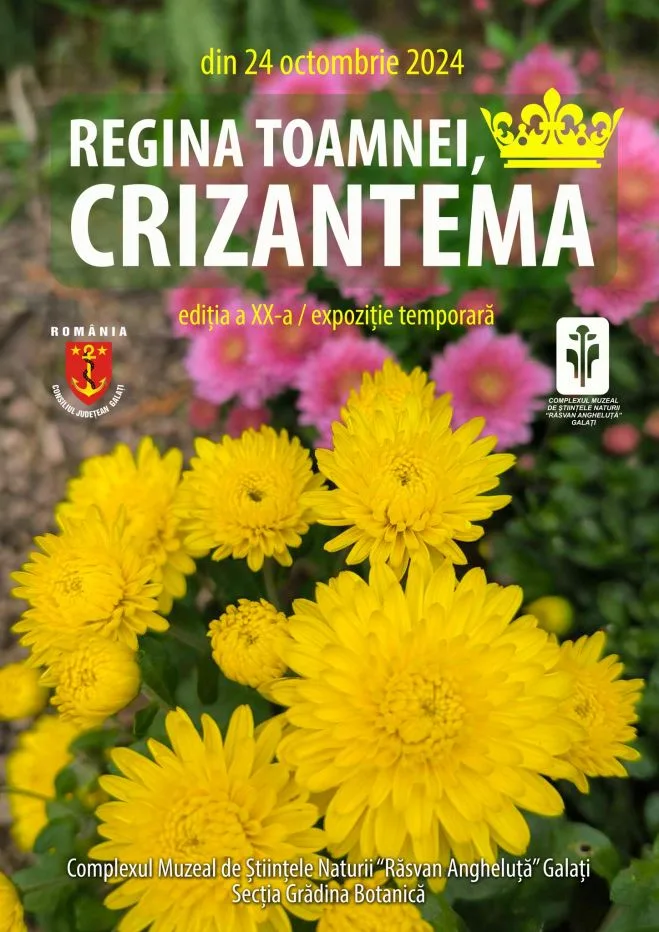 „Regina Toamnei, Crizantema”, la Complexul Muzeal de Științele Naturii Galați