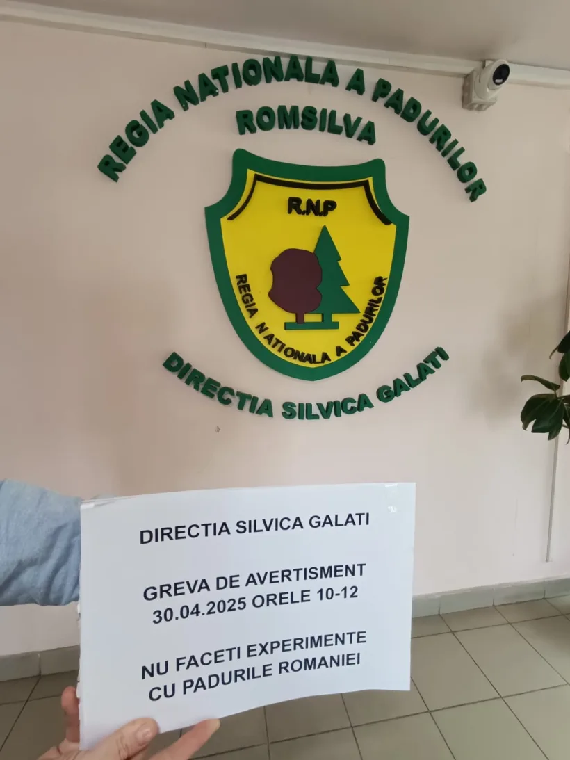 Grevă de avertisment. Sindicaliștii Romsilva, nemulțumiți de reorganizarea propusă de ministrul mediului, apelor și pădurilor
