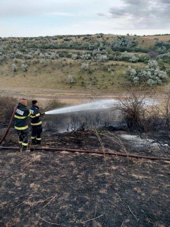 Incendii de vegetație în județul Galați. Pompierii intervin în mai multe zone