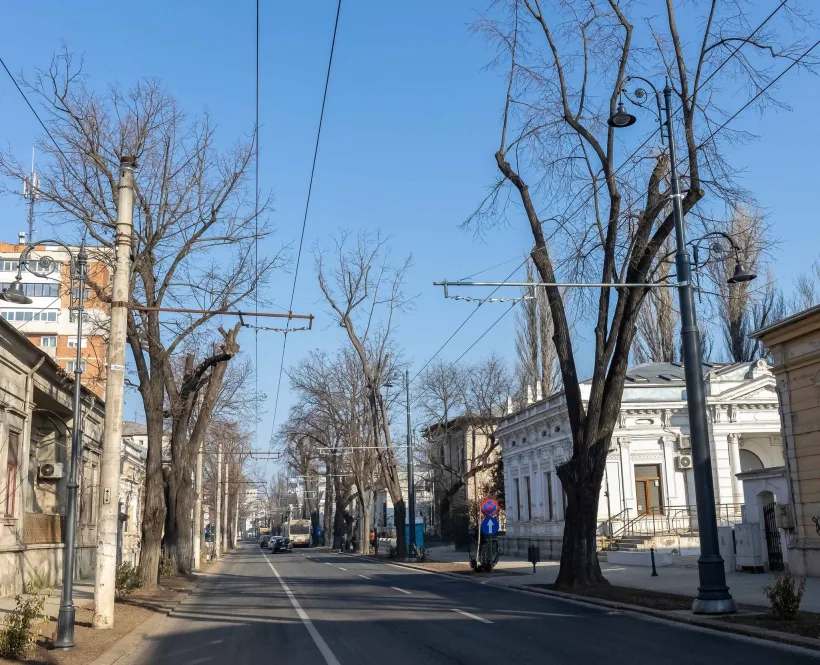 Strada Domnească va fi din nou pietonală pentru activități distractive și educative