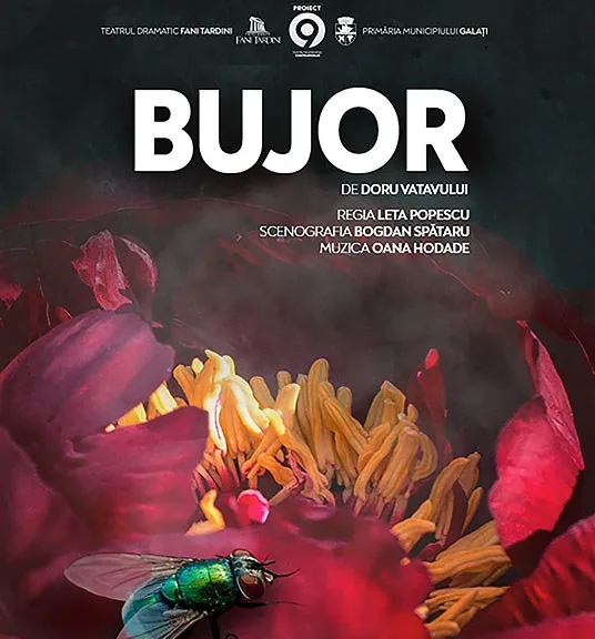 O comedie efervescentă la Casa de Cultură a Studenţilor