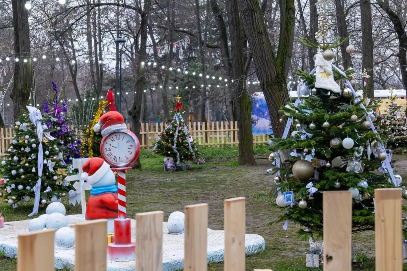 Bradul realizat de elevii Școlii Gimnaziale nr. 11, cel mai votat la „Feerie de Iarnă”