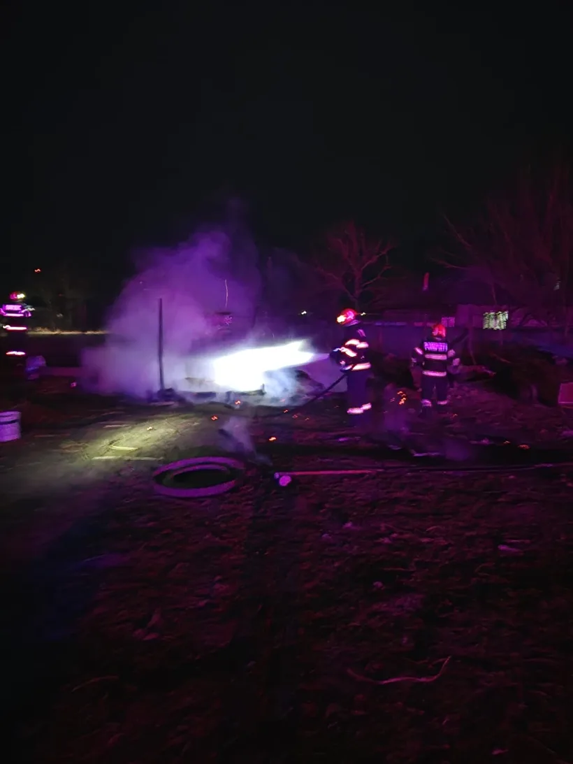 Incendiu devastator la o anexă din Grivița: 12 animale au ars