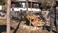 Demolări pe Faleza Dunării. Construcțiile provizorii, desființate