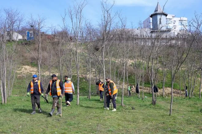 Galați investește în aer curat: patru păduri urbane și aproape 200.000 de puieți plantați