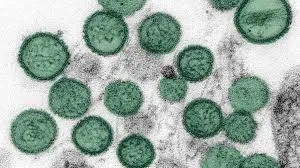 Alertă sanitară: virusul asociat cu trei decese pe croazieră ajunge și în România
