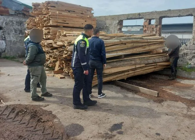 Acțiune de amploare a polițiștilor la Galați: sancțiuni și lemn confiscat în urma controalelor în trafic și la un operator economic