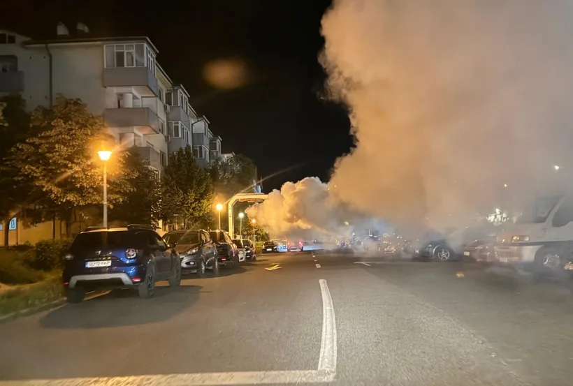 Intervenții nocturne în Galați pentru eliminarea țânțarilor și căpușelor