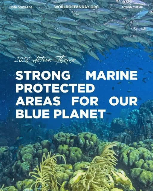 8 iunie - Ziua Mondială a Oceanelor