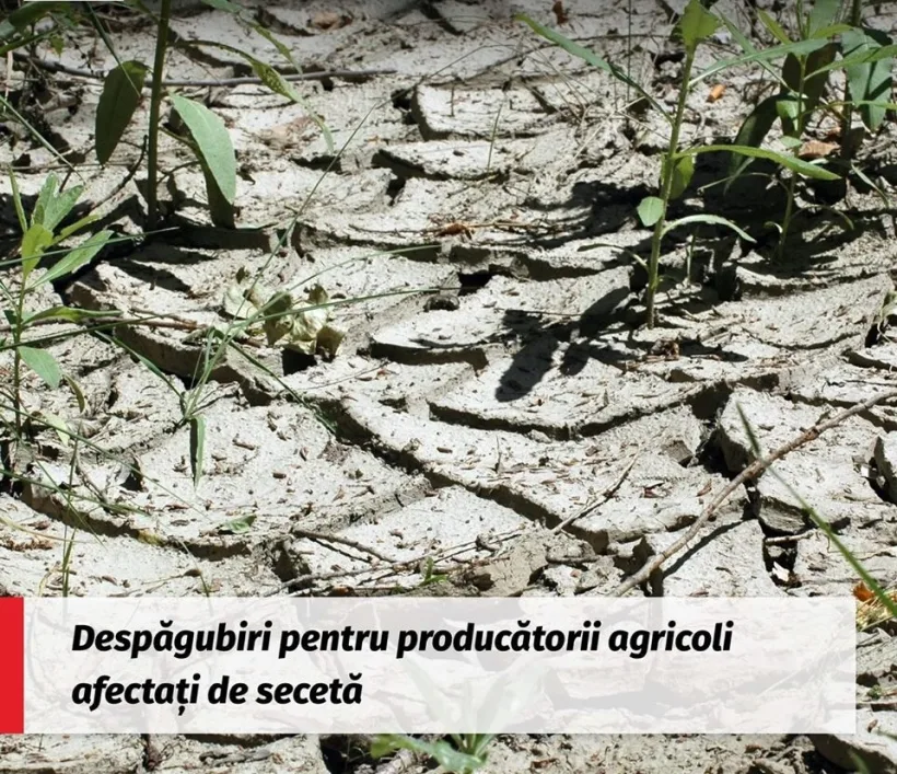 PSD acuză: Pâine mai scumpă! Asta e tot ce le poate oferi PNL românilor pe vreme de pandemie!