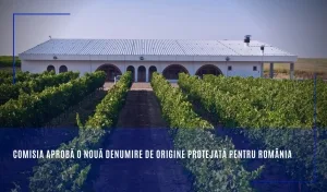 Un nou nume de vin românesc devine protejat la nivel european