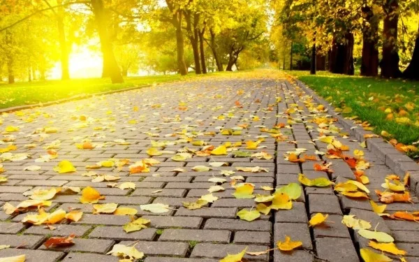 ANM: Prognoza meteo pentru luna septembrie
