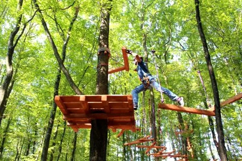 Parcul de Aventură de la Gârboavele a fost scos la licitație
