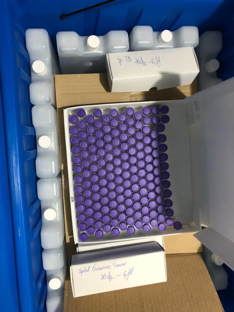 A început vaccinarea anti COVID-19 la Galați și Brăila 