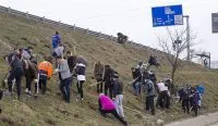 Colaborare între instituțiile gălățene pentru mediu: 300 de salcâmi au fost plantați la intrarea în oraș