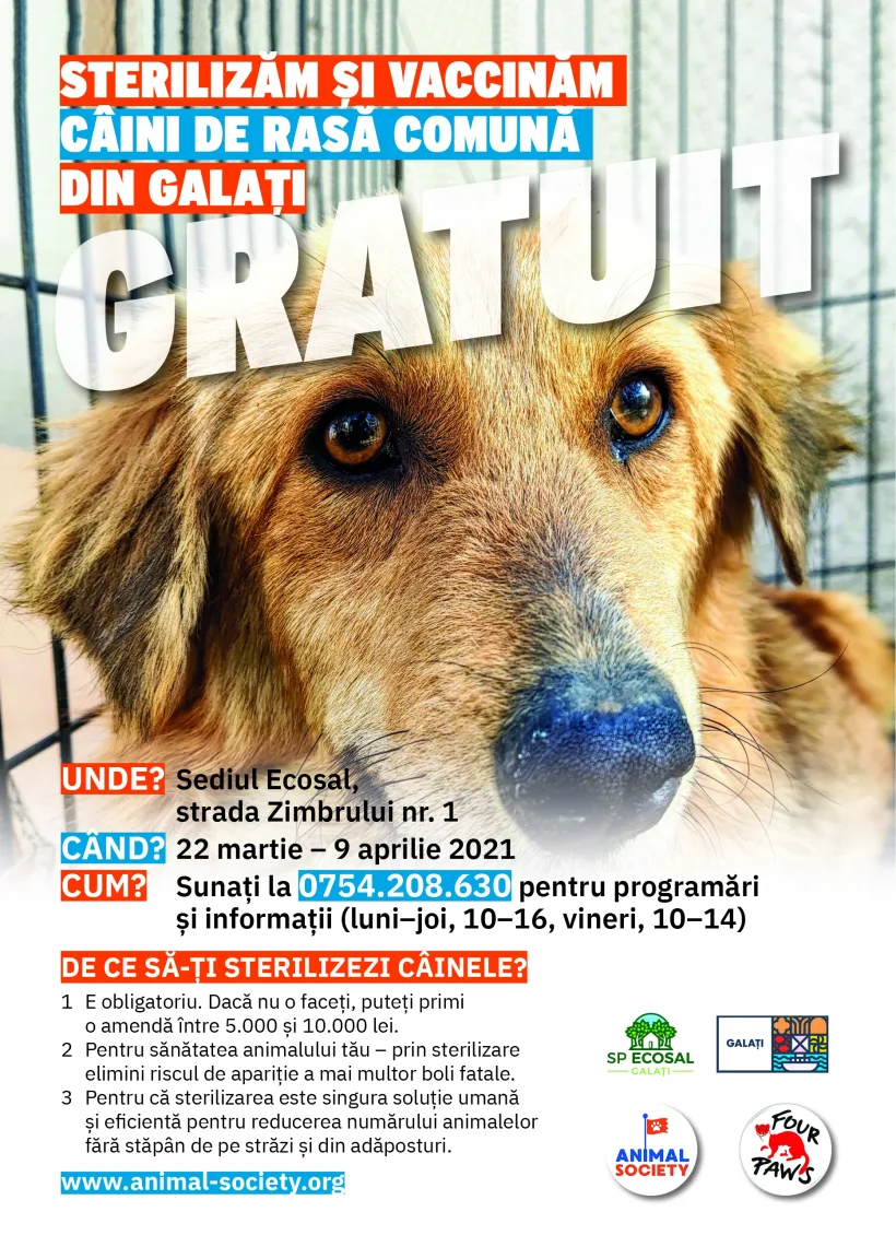 O nouă campanie de sterilizare gratuită a animalelor de rasă comună din Galați