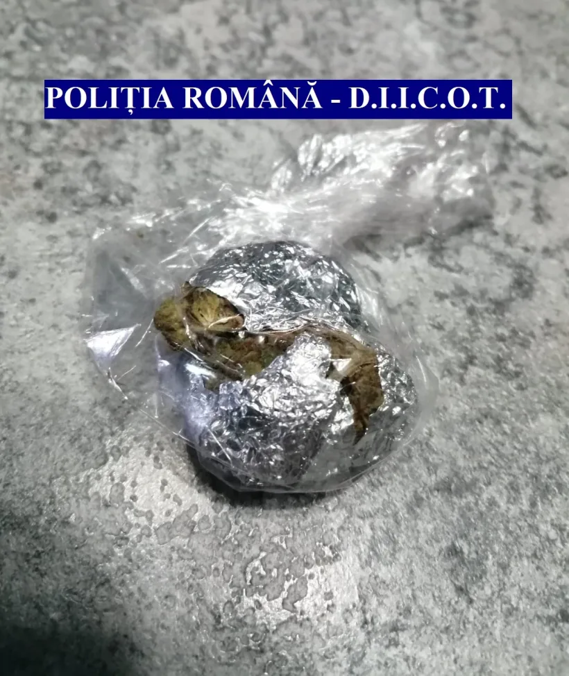 74 de percheziții într-un dosar de trafic de droguri. 165 de persoane audiate