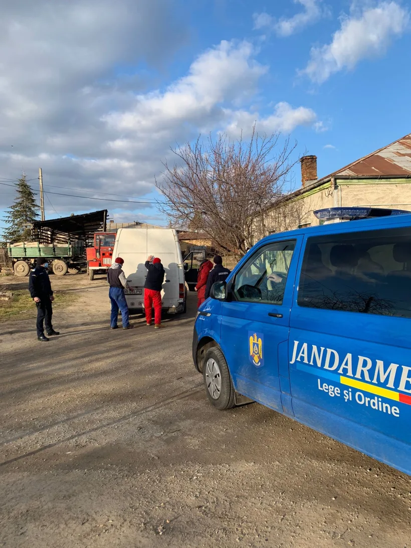 Transport ilegal de lemne, confiscat de jandarmi 