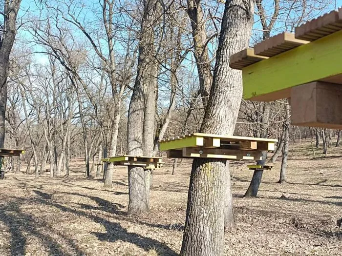 Parc de aventură în pădurea Gârboavele, investiție realizată de Consiliul Județean Galați. Complexul va fi spectaculos