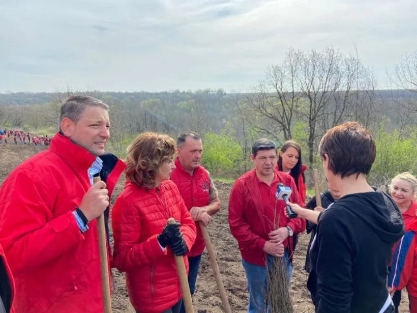 Mii de stejari plantați în pădurea Gârboavele din Galați