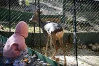 Intrare liberă în acest weekend la instituţiile de cultură din subordinea Consiliului Județean Galaţi