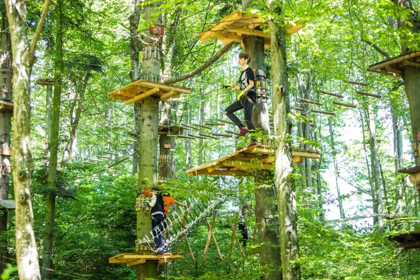 Parc de aventură cu fonduri europene. Complexul din Pădurea Gârboavele va avea două tiroliene de mari dimensiuni