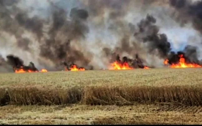 Incendiu uriaș într-un lan grâu din Galați