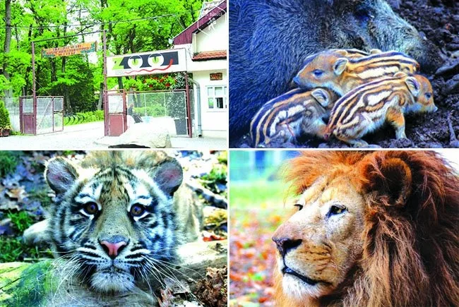 9 august - Ziua internaţională a grădinilor zoologice şi a parcurilor
