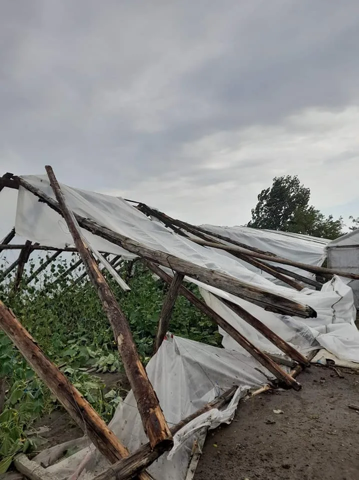 Cinci hectare de solarii distruse într-o localitate din județul Galați