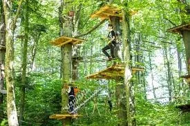 Parc de aventură cu pistă de bob suspendată, 15 trasee și tiroliene spectaculoase, în pădurea Gârboavele