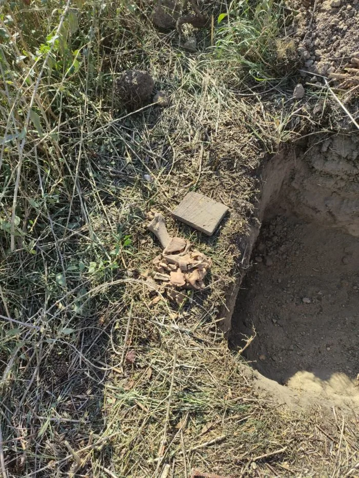 Craniu și rămășițe umane, descoperite de muncitorii care plantau copaci pe Faleza Dunării din Galați