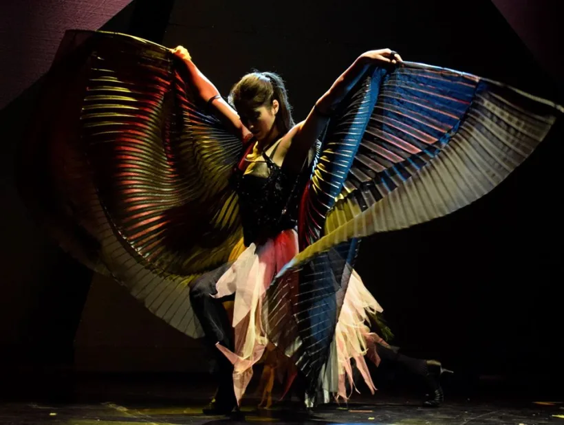 Pasărea Măiastră! Poveste inspirată din emoțiile universului etnofolcloric românesc recreată artistic cu ajutorul efectelor speciale