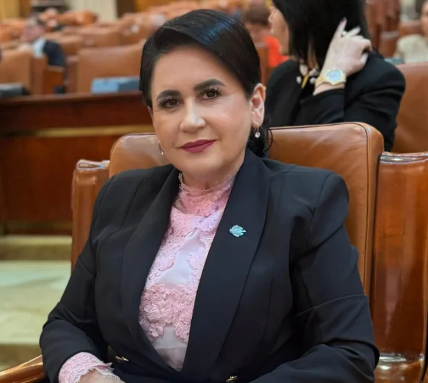 Deputatul Viorica Sandu, după prăbușirea investițiilor străine: „România are nevoie de predictibilitate”