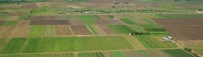 Dinamica tranzacțiilor imobiliare în 2020 –  Județele Brăila și Galați “s-au remarcat” la vânzări de terenuri agricole