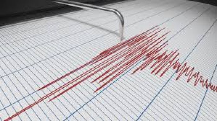 Trei cutremure au avut loc în noaptea de marți spre miercuri, în România. S-au simțit și în Galați și Brăila